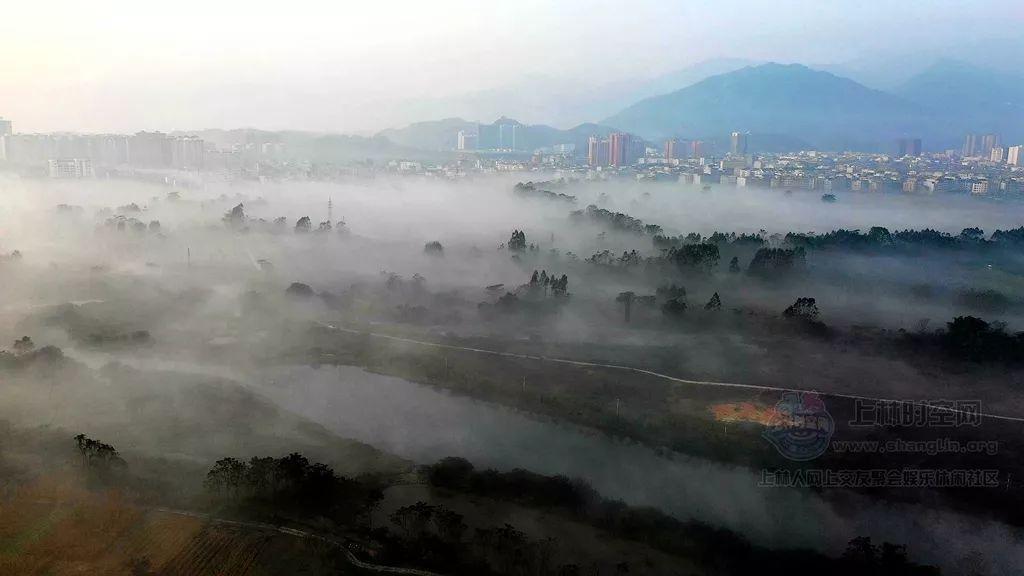 智墨晨读:1月22日