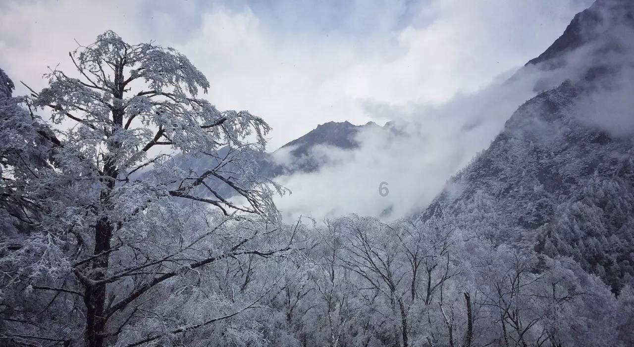 潘巧云:守护洱海流域天蓝山绿水更清
