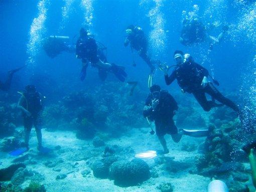 吕不韦是怎样成功登上权力顶峰？又是怎样走向自我毁灭的？