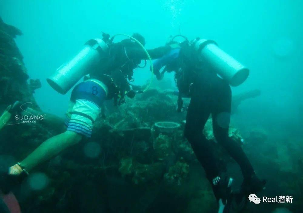 深海鱼救援