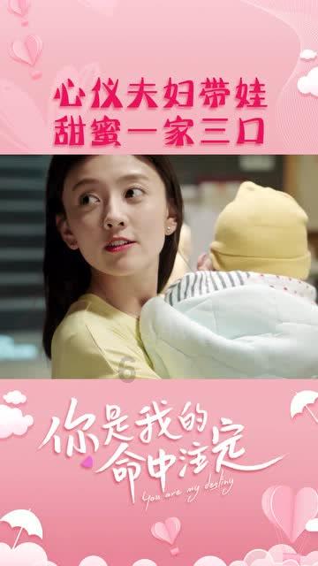 大排量V6发动机 坦克330申报图曝光