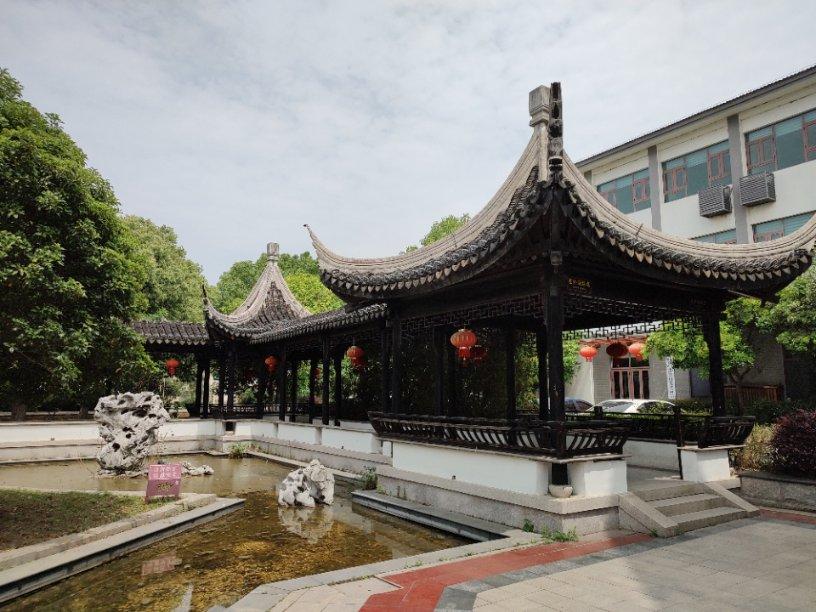 除虫大师