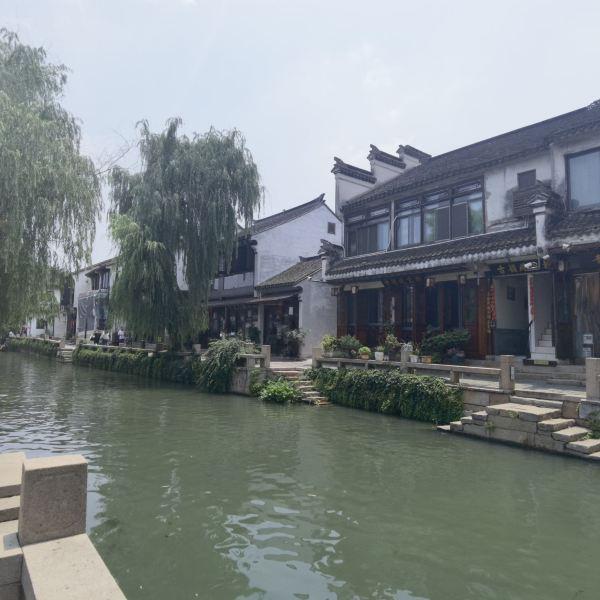 逃离变色龙森林